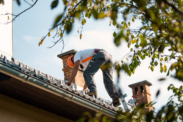 Quick and Trustworthy Emergency Roof Repair Services in Pine Bluff, AR