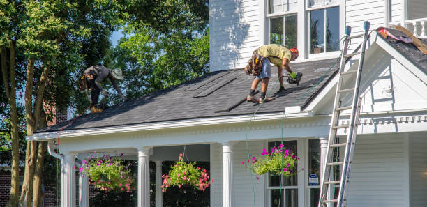 Professional Roofing Contractor in Pine Bluff, AR